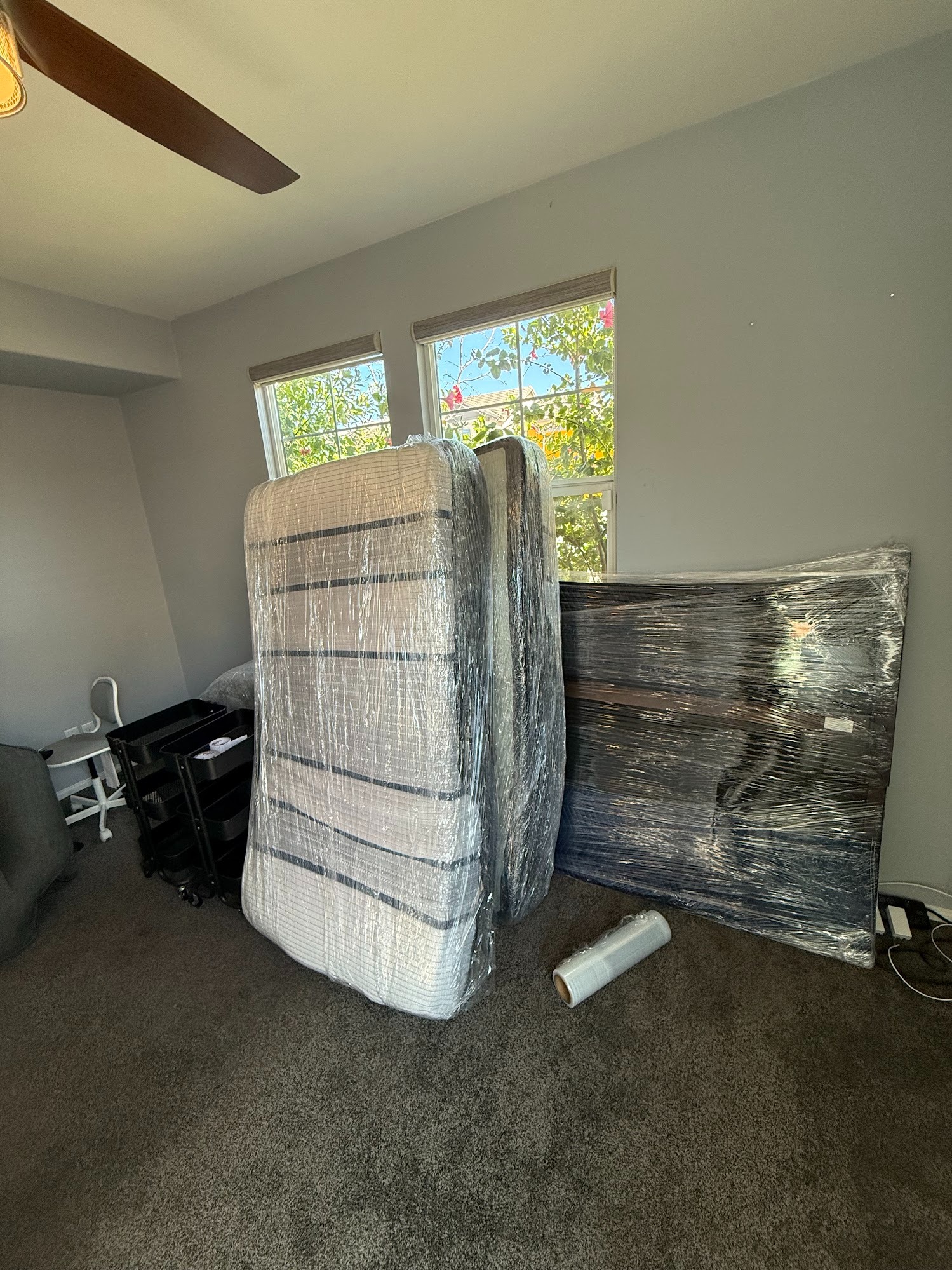 SMG Movers project 7